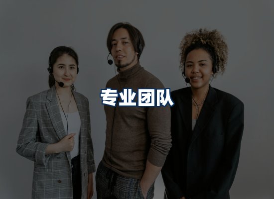 专业团队